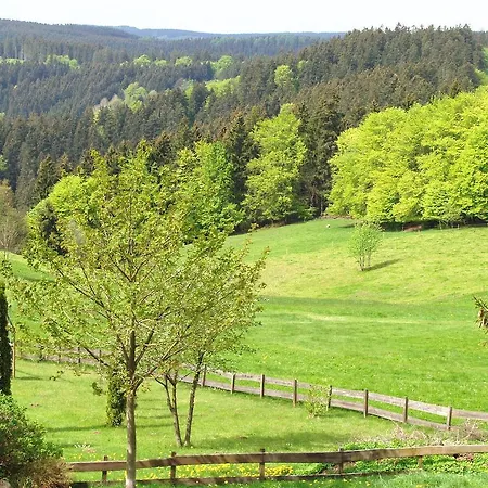Vendégház Alfa Sankt Andreasberg