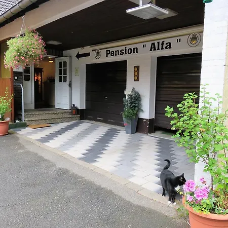 게스트하우스 Alfa 3*